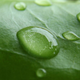 Image for article titled Refraction Shooting Challenge Gallery 2